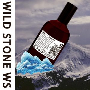 WILD STONE WS